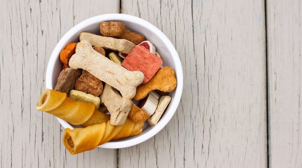 petfood-trends