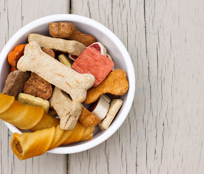 petfood-trends