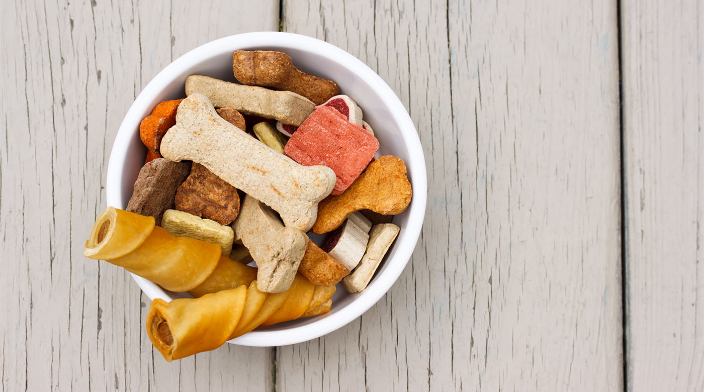 petfood-trends