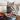 senseteste-pet