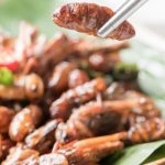 sensetest-insect-consumption