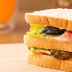 Insect-Based-Food-Innovation