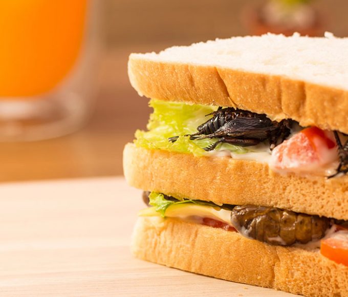 Insect-Based-Food-Innovation