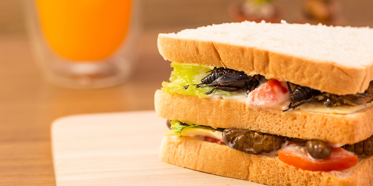 Insect-Based-Food-Innovation